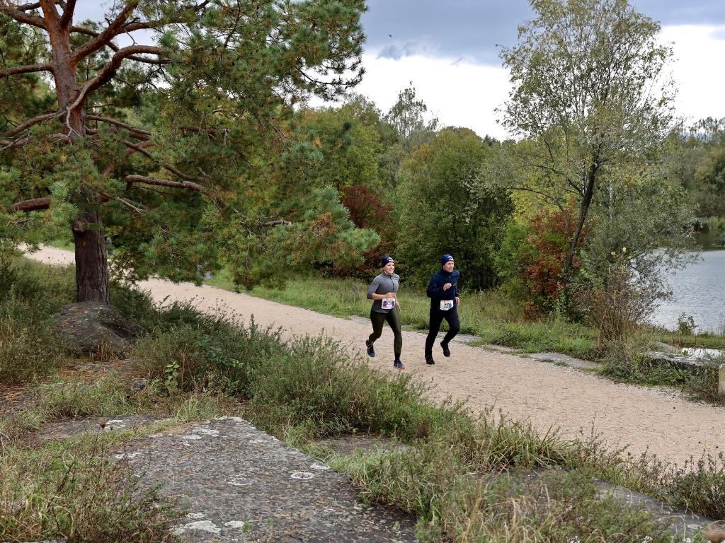 Teilnehmende am virtuellen Zürcher Silvesterlauf (Photo: Zürcher Silvesterlauf)